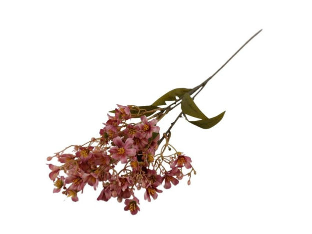 Slika Daphne/likovac roza suha 72cm