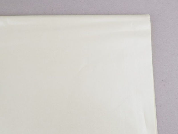 Slika Charm papir 26g arak 50x70cm. -bež