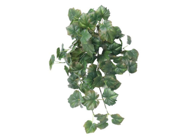 Slika Puzavica vinova loza 50 cm; 80 listova; zelena