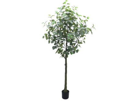 Slika Umjetno drvo eukaliptus 180 cm; 525 listova