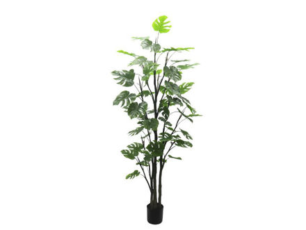 Slika Umjetno drvo monstera 180 cm; 61 listova