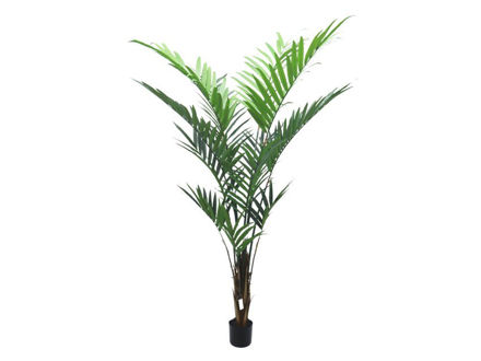 Slika Umjetno drvo palma kentia 210 cm; 259 lvs