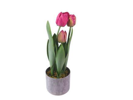 Slika Tulipan u posudi 47 cm; roza