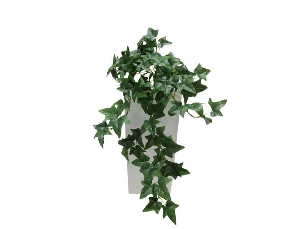 Slika Puzavica bršljan 70 cm; 106 listova; zelena