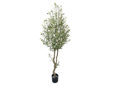 Slika Umjetno drvo maslina 180 cm; 1224 lista