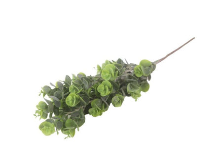 Slika  Buket zelenila 46 cm; zelena