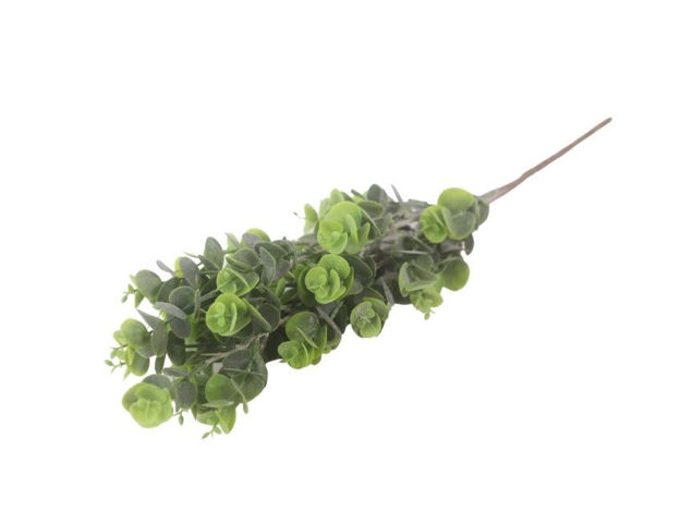 Slika  Buket zelenila 46 cm; zelena