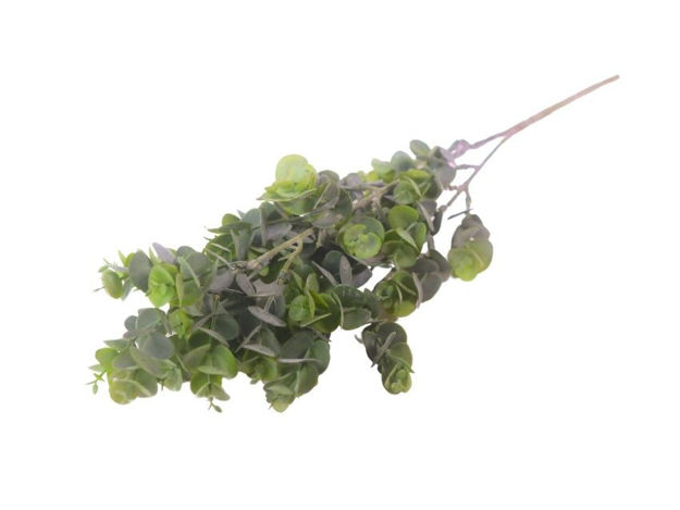 Slika  Buket zelenila 46 cm; t.zelena
