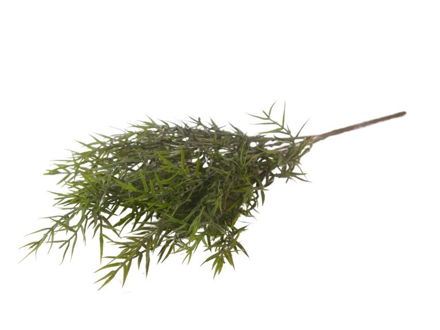 Slika  Buket zelenila 45 cm; zelena