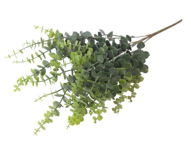 Slika  Buket eukaliptus 46 cm; t.zelena