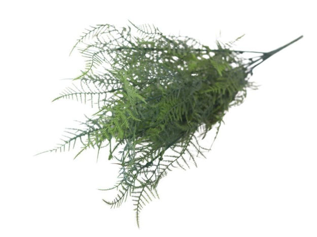 Slika  Buket paprat 52 cm; t.zelena