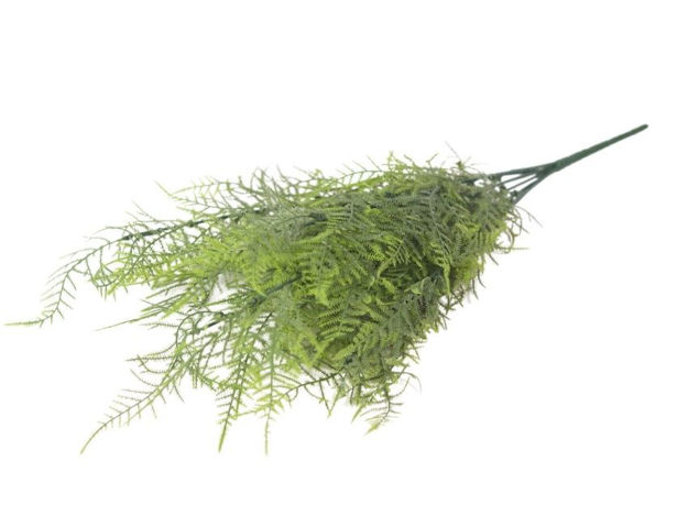 Slika  Buket paprat 52 cm; t.zelena