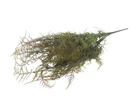 Slika  Buket paprat 52 cm; smeđa/zelena