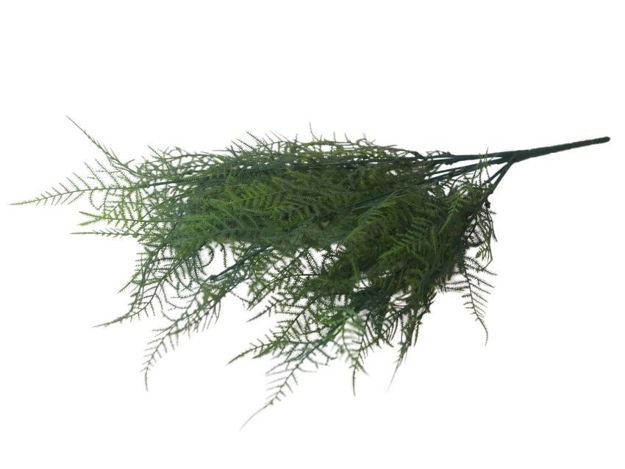 Slika  Buket paprat 52 cm; zelena