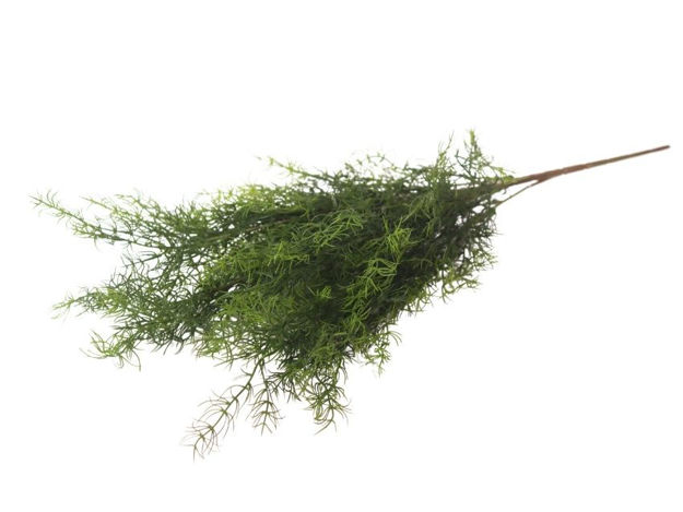 Slika  Buket paprat 60 cm; t.zelena