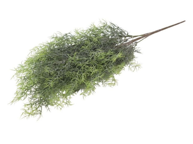 Slika  Buket paprat 60 cm; zelena