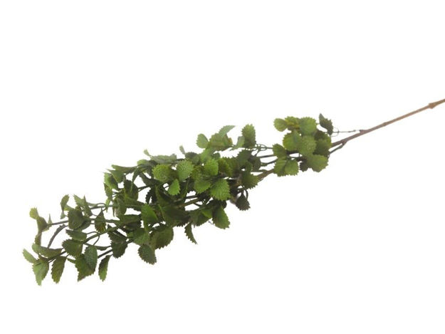 Slika  Grana eukaliptus 79 cm; zelena