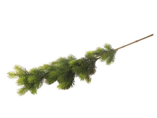 Slika  Grana bora 80 cm; t.zelena
