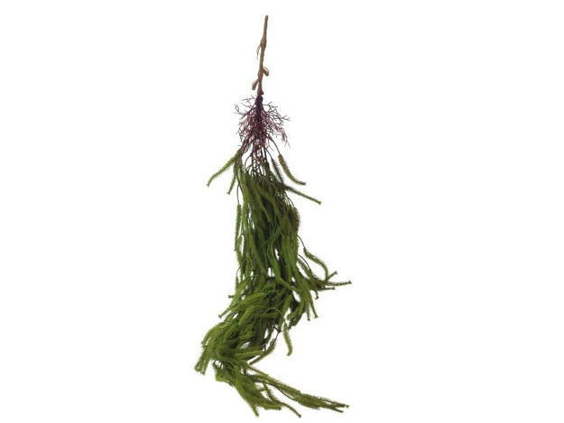 Slika  Puzavica 103 cm; t.zelena