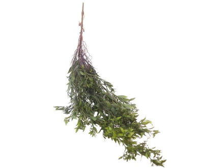 Slika  Puzavica 105 cm; zelena
