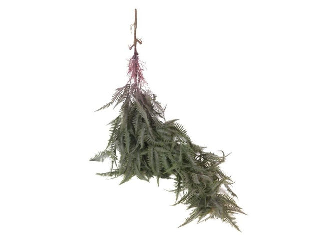 Slika  Puzavica 110 cm; zelena