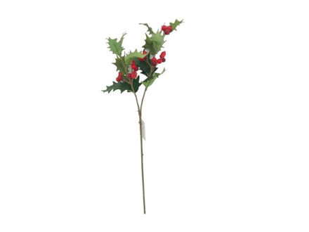Slika Grana božikovine 61cm; zelena/crvena