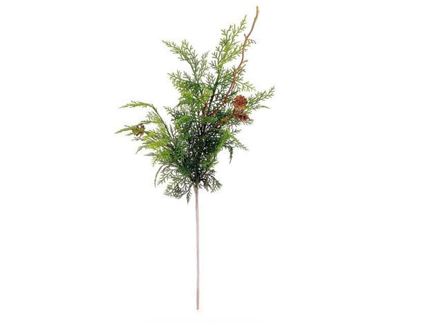 Slika Grana čempresa s šIškama 72cm; zelena