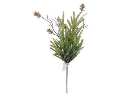 Slika Grane bora s šIškama 52cm; zelena