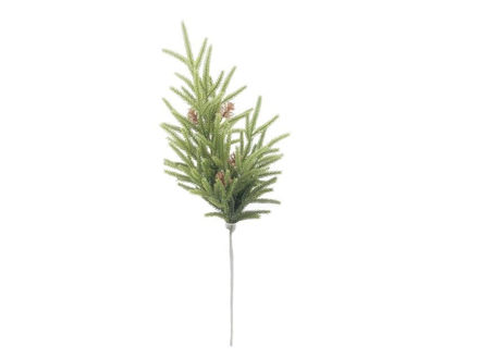Slika Grana bora s šIškama 71cm; zelena