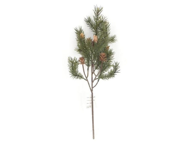 Slika Grana bora s šIškama 49cm; zelena