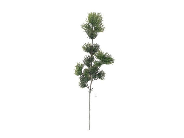 Slika Grana bora s šIškama 49cm; zelena