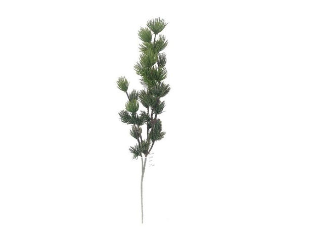 Slika Grana bora s šIškama 49cm; zelena