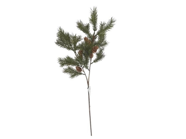Slika Grana bora s šIškama 66cm; zelena
