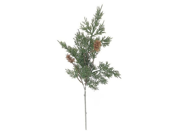 Slika Grana čempresa s šIškama 55cm; zelena