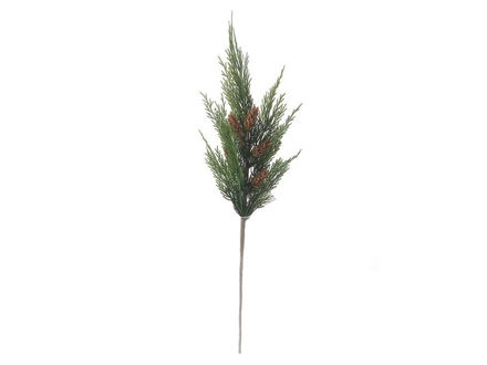 Slika Grana čempresa s šIškama 72cm; zelena