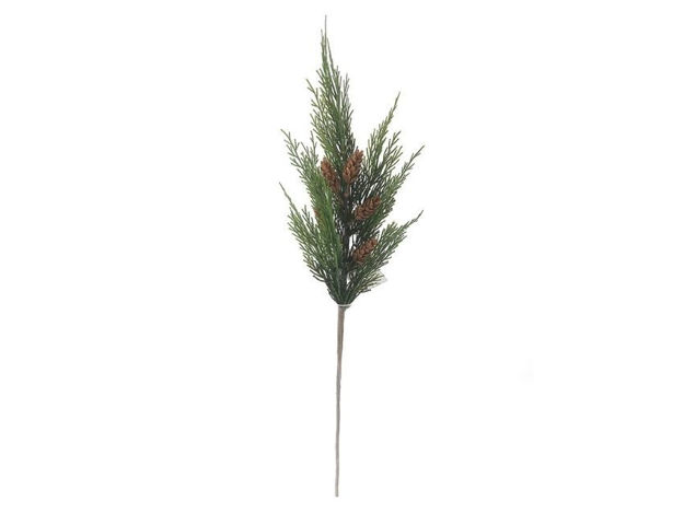 Slika Grana čempresa s šIškama 72cm; zelena