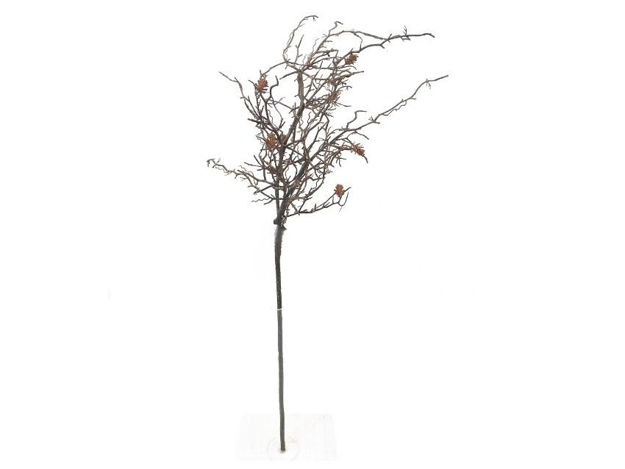 Slika Grana 119cm; natur