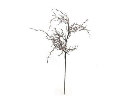Slika Grana 119cm; natur