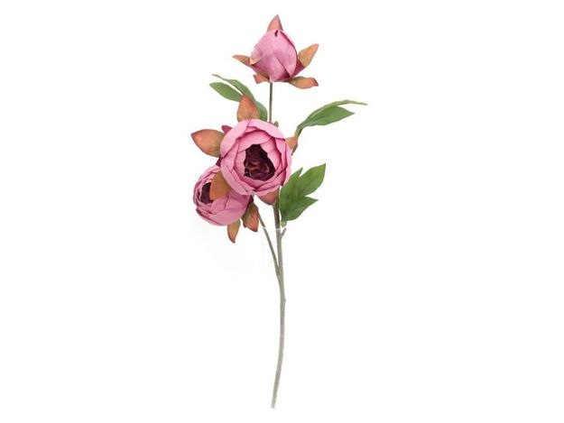 Slika Grana peonije 64cm; roza