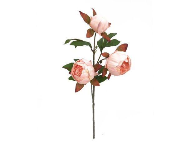 Slika Grana peonije 64cm; sv. Roza