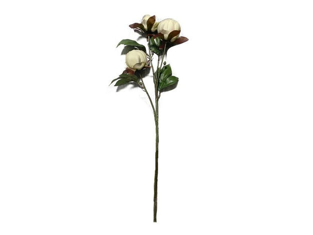 Slika Grana peonije 64cm; krem