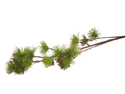Slika Grana bora 110 cm; zelena