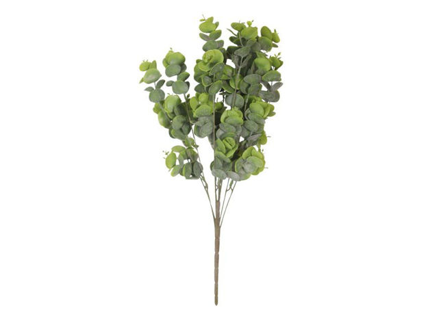 Slika  Buket eukaliptus 57 cm; zelena