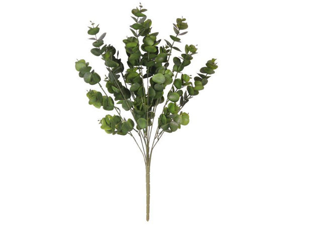 Slika  Buket eukaliptus 57 cm; t.zelena