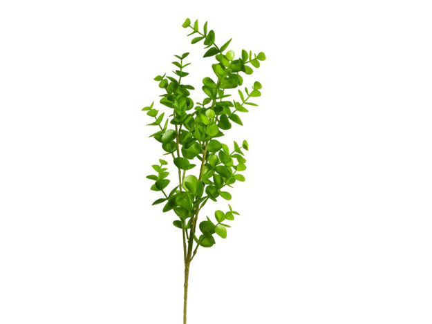 Slika  Grana eukaliptus 87 cm; zelena