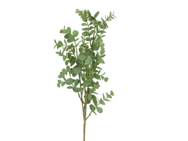 Slika  Grana eukaliptus 87 cm; sv.zelena