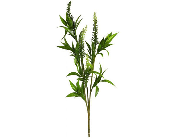 Slika  Grana zelenila 90 cm; zelena