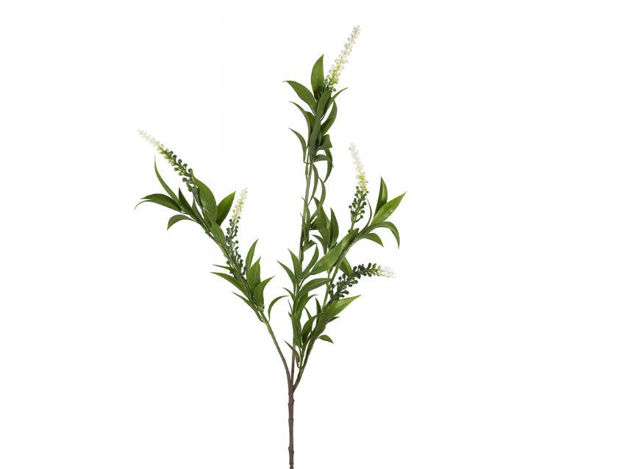 Slika  Grana zelenila 90 cm; sv.zelena