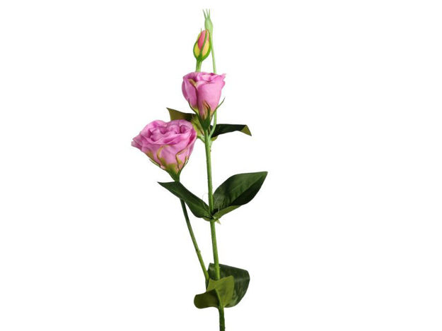 Slika Lizijantus 67 cm; ljubičasta