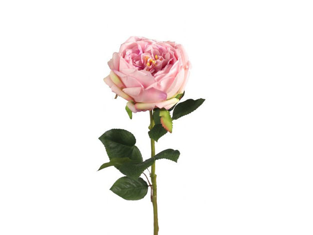 Slika Ruža 70 cm; roza